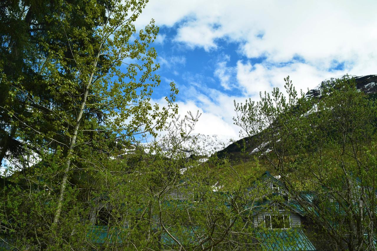 Snowbird Chalet #5 جيردوود المظهر الخارجي الصورة
